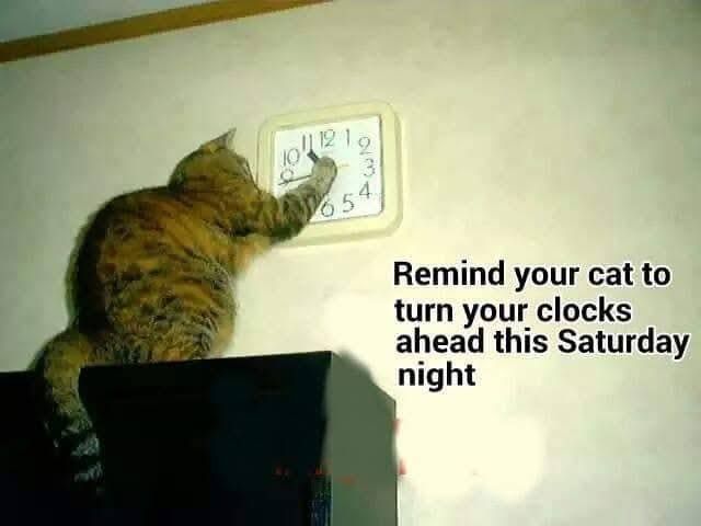 McCook Humane Society