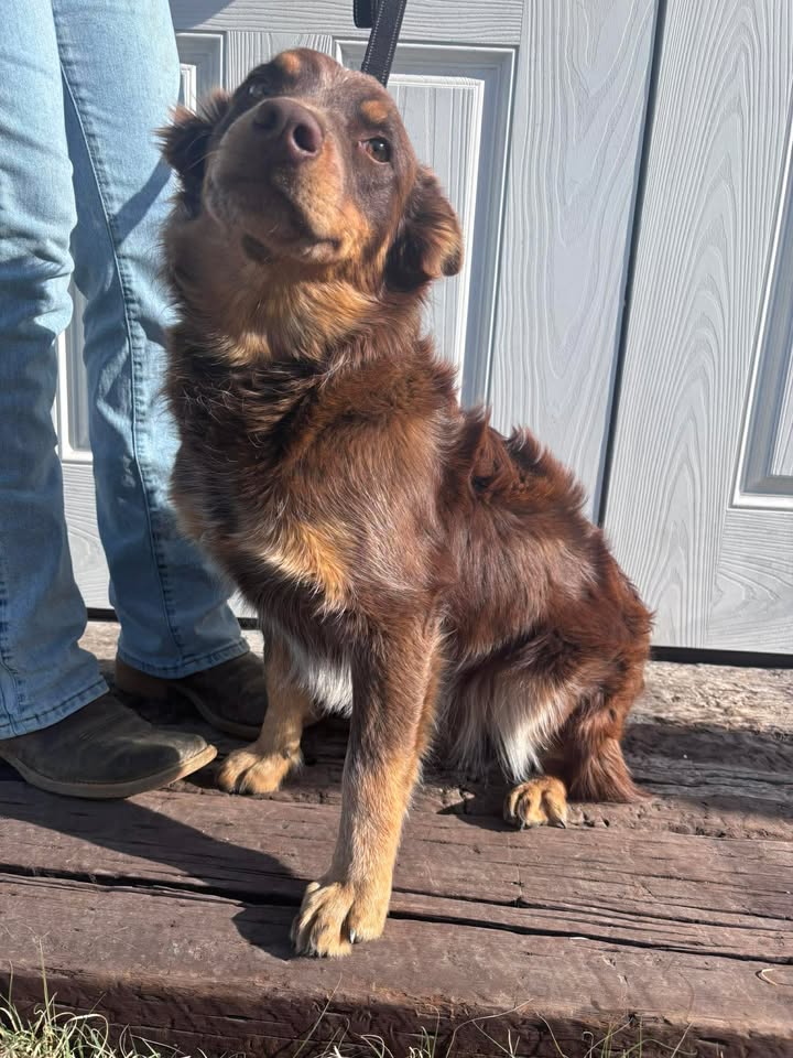 McCook Humane Society