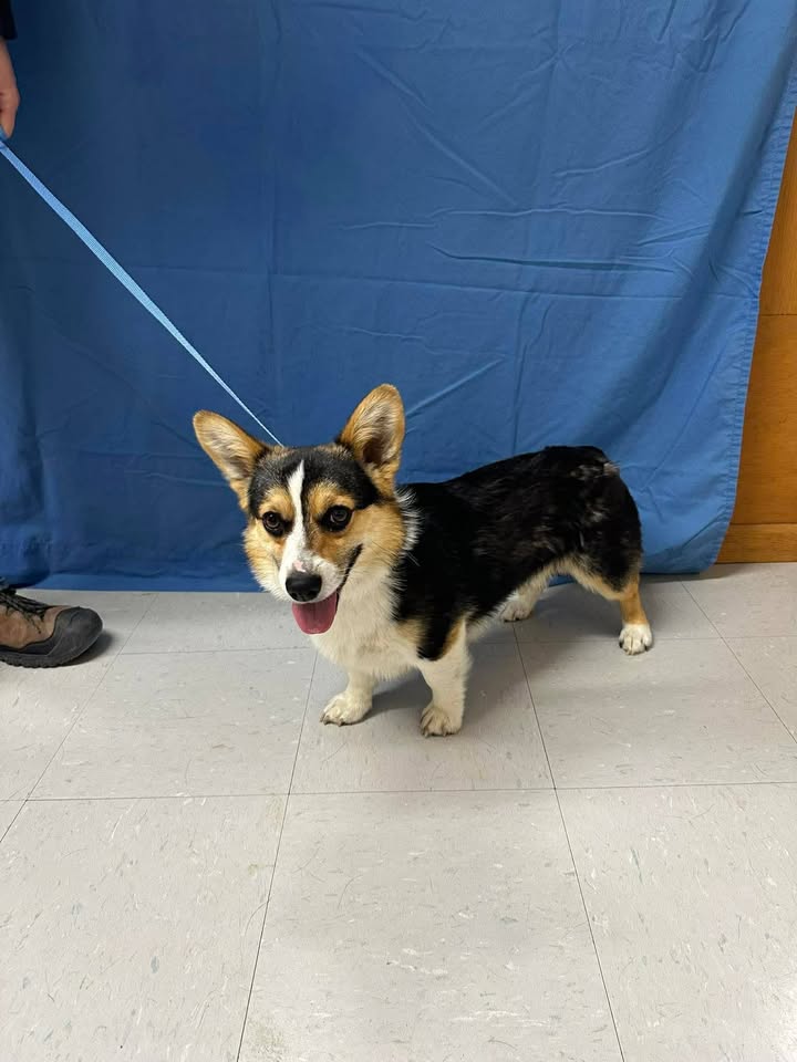 McCook Humane Society