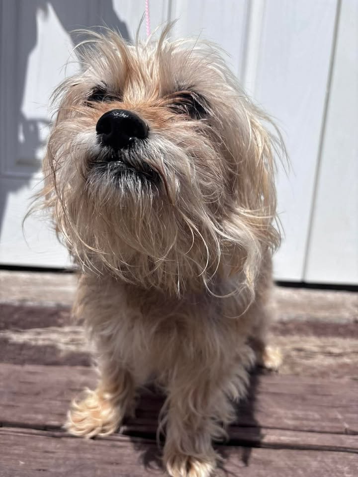 McCook Humane Society