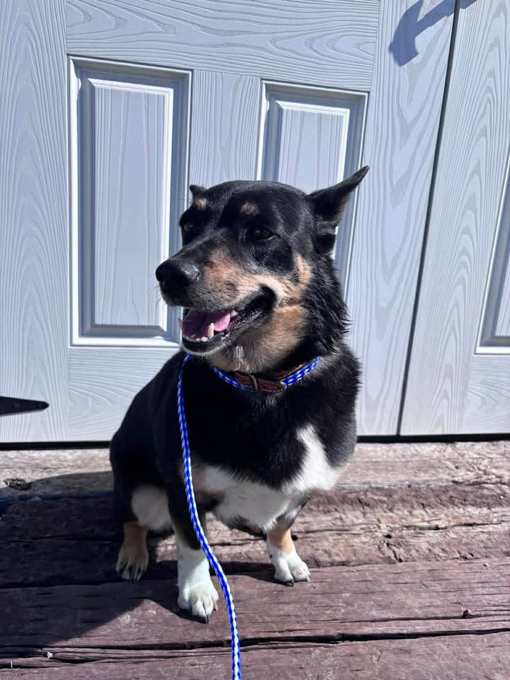 McCook Humane Society