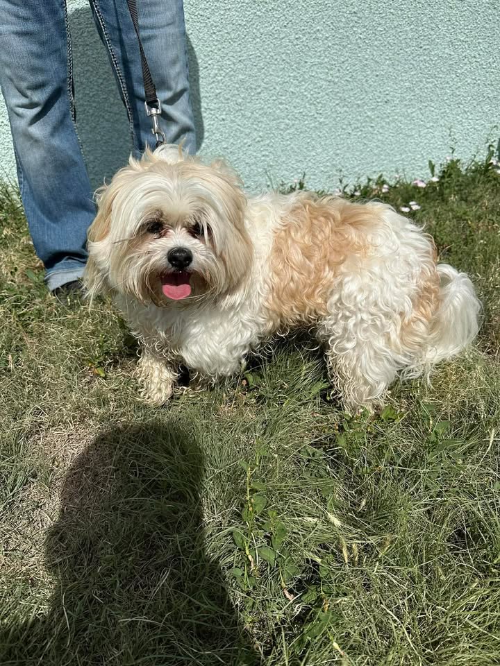 McCook Humane Society