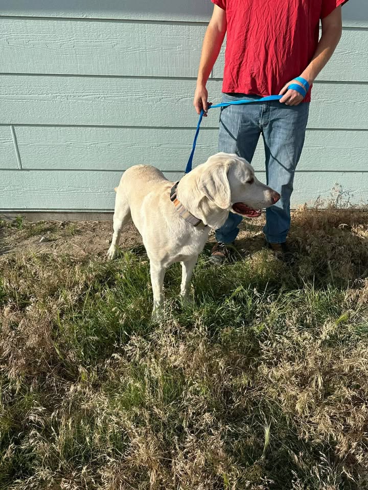 McCook Humane Society