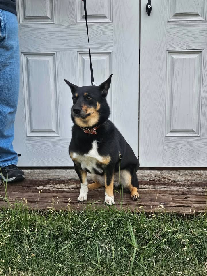 McCook Humane Society