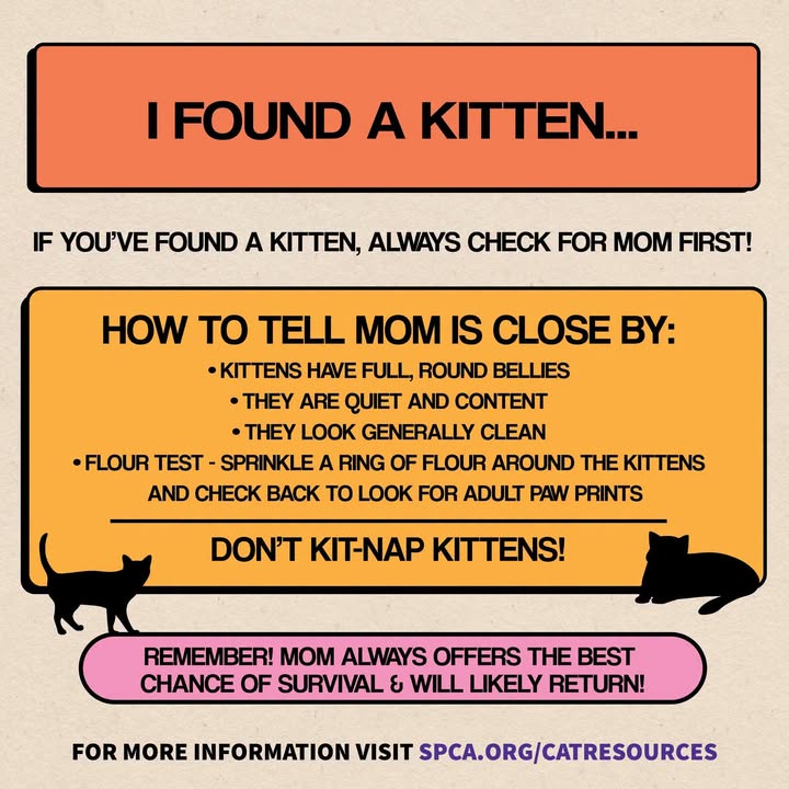 McCook Humane Society