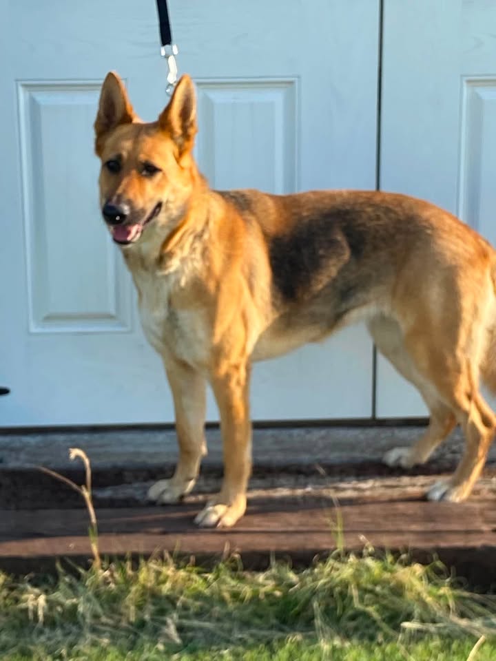 McCook Humane Society