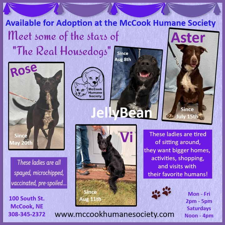 McCook Humane Society