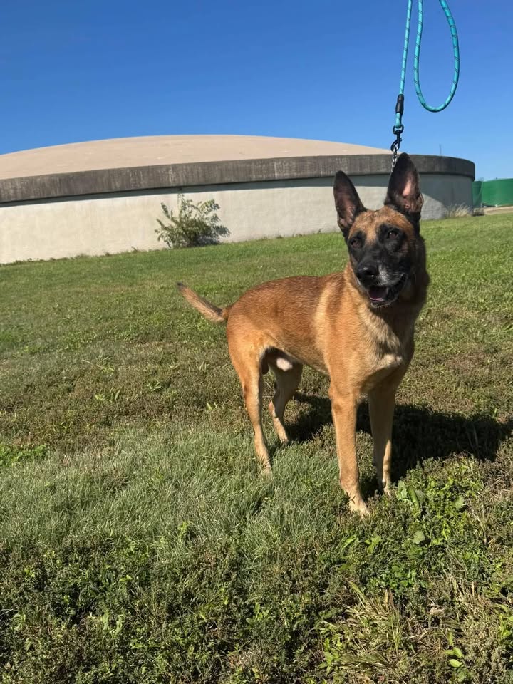 McCook Humane Society