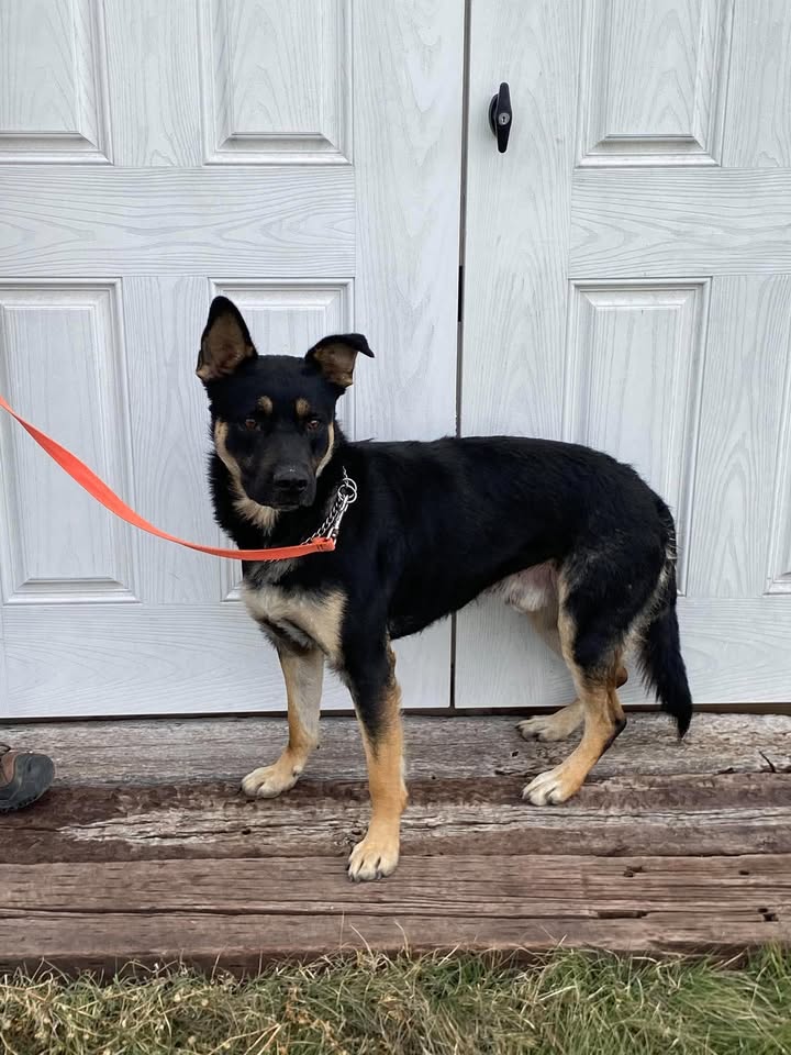 McCook Humane Society